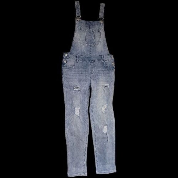 Wallflower Denim - Wallflower Denim Blue Distressed Overalls